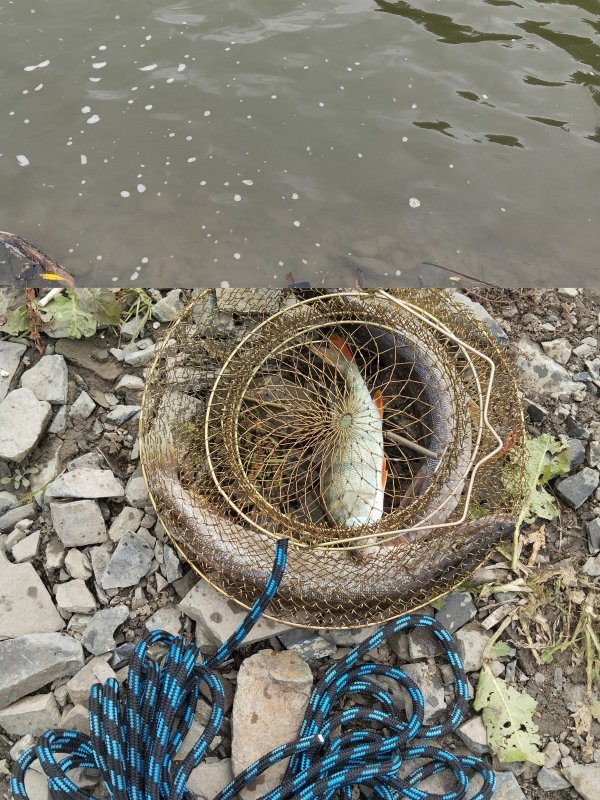 "Курьез на рыбалке"!..