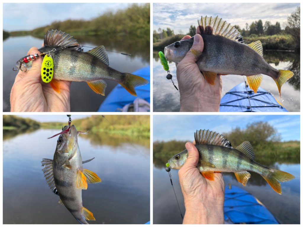 Колываны, печалька...