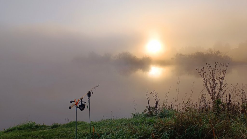 Туманное утро