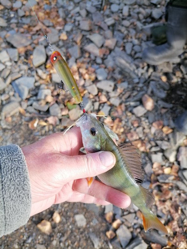 Один, на весь Затон один.