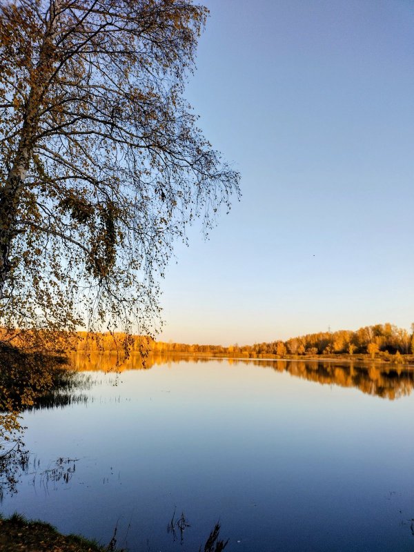 Утро на озере-1