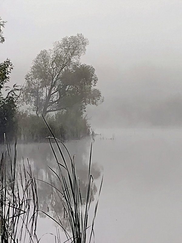 Туман, озеро