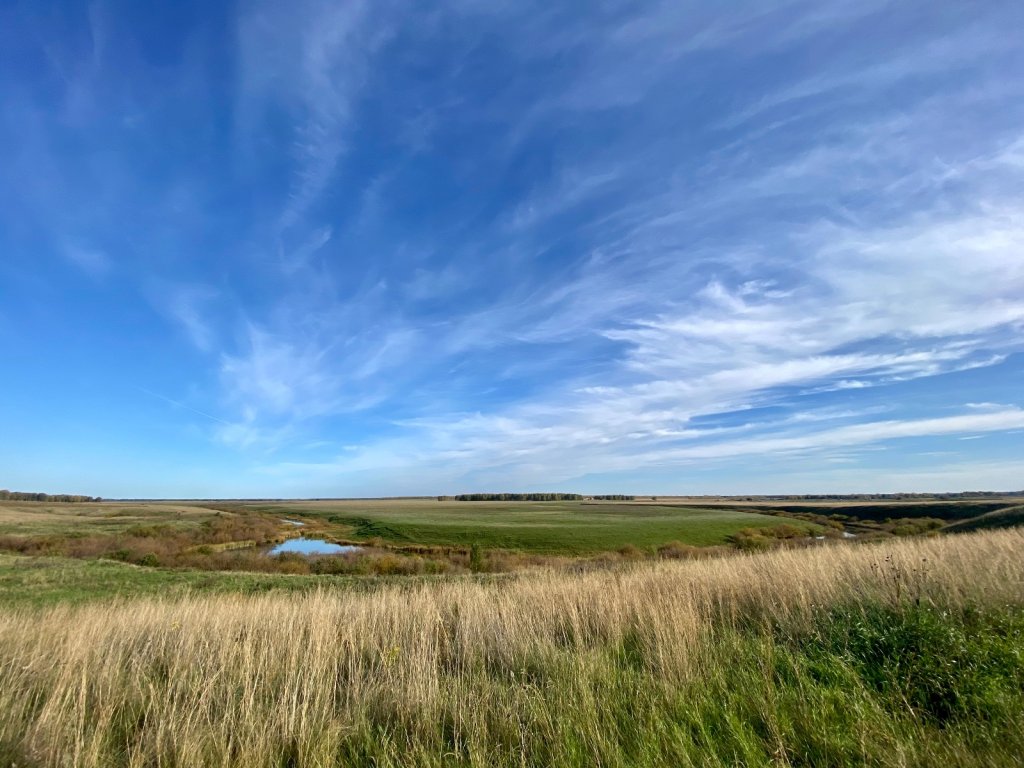 Прячется в полях речка Карасук.