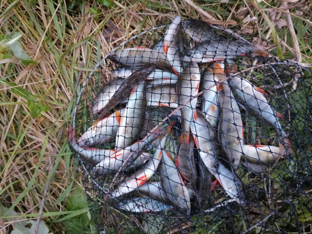 Ультралайт.