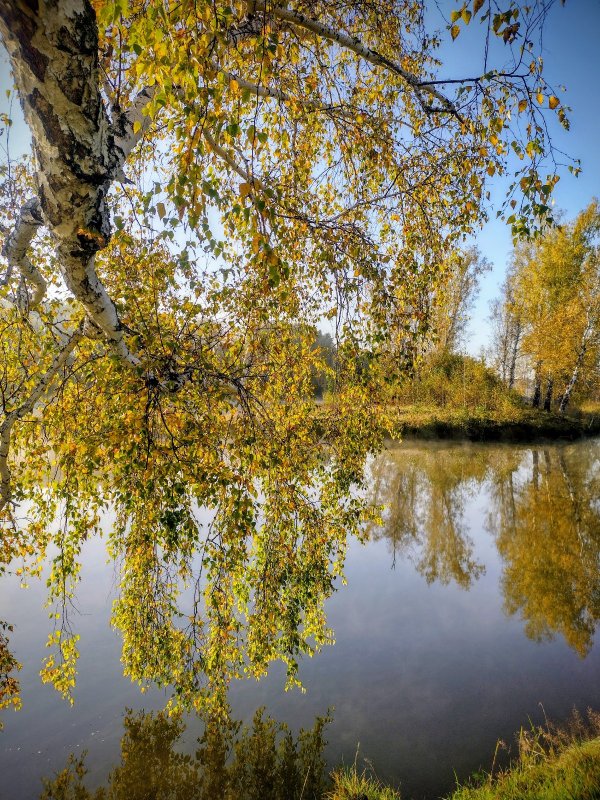 Озеро, день