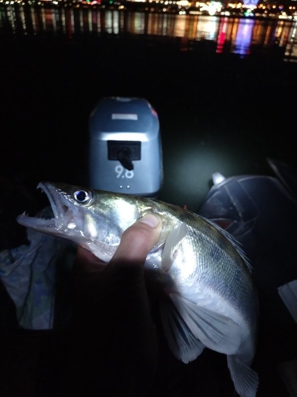 В свете городских фонарей.