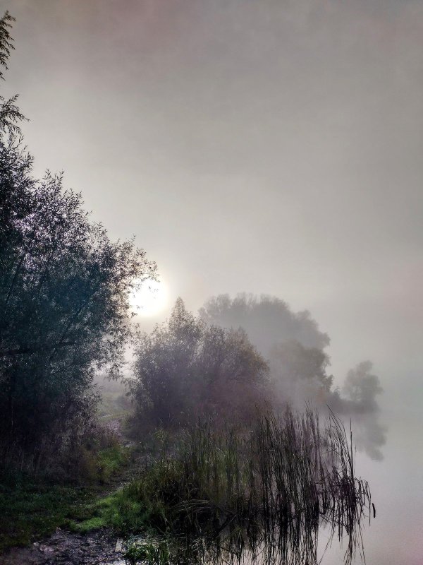 Озеро. Осень. Туман