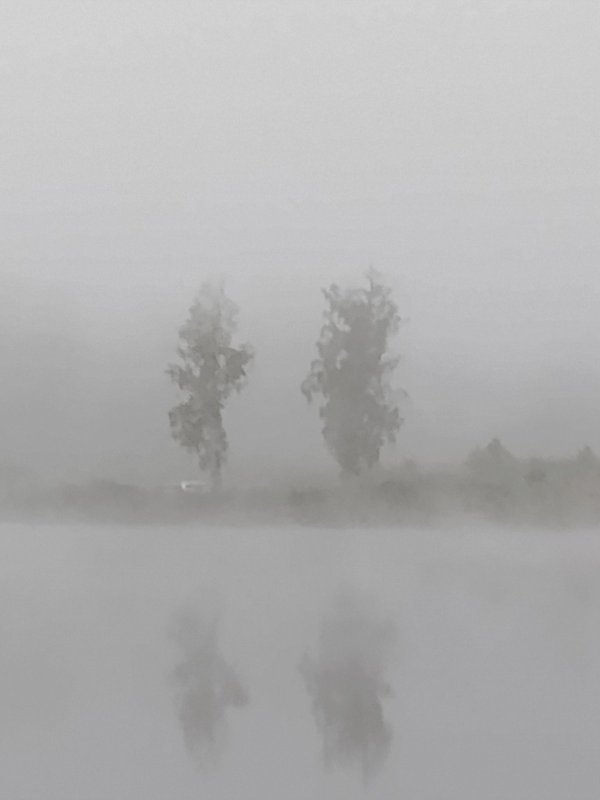 Туман, озеро