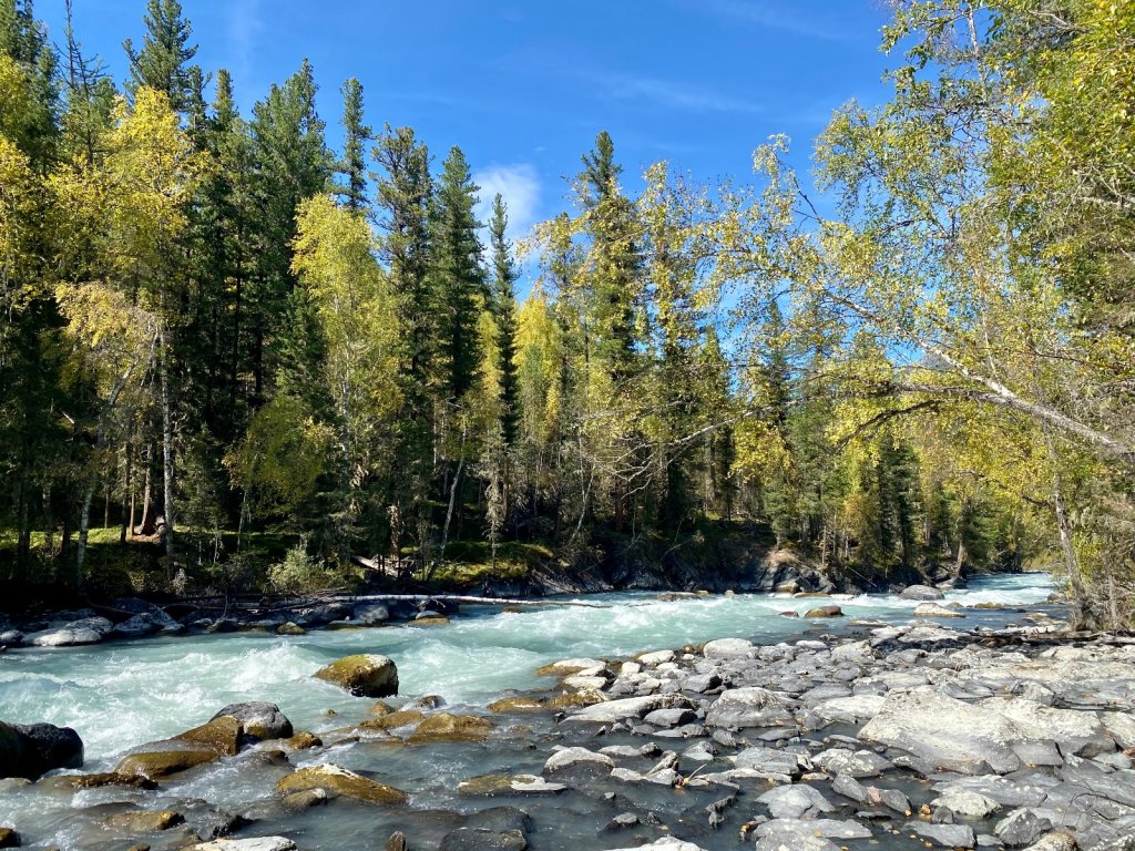 Горная река Кучерла.