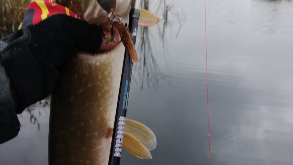 Удача - не хвост.