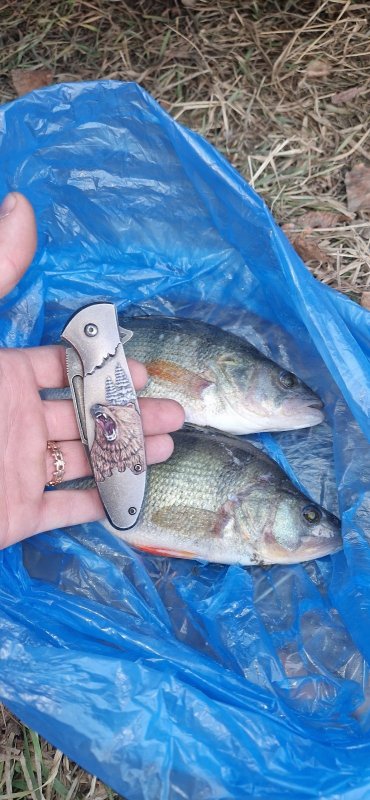 Сегодня. 30.10