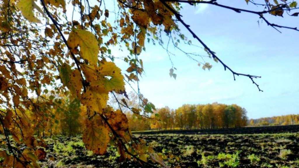 Со спиннингом и ружьём....