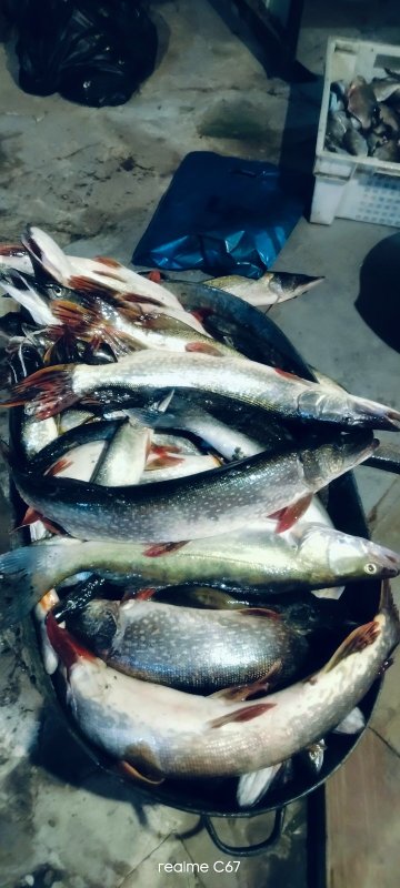 Клевало отлично