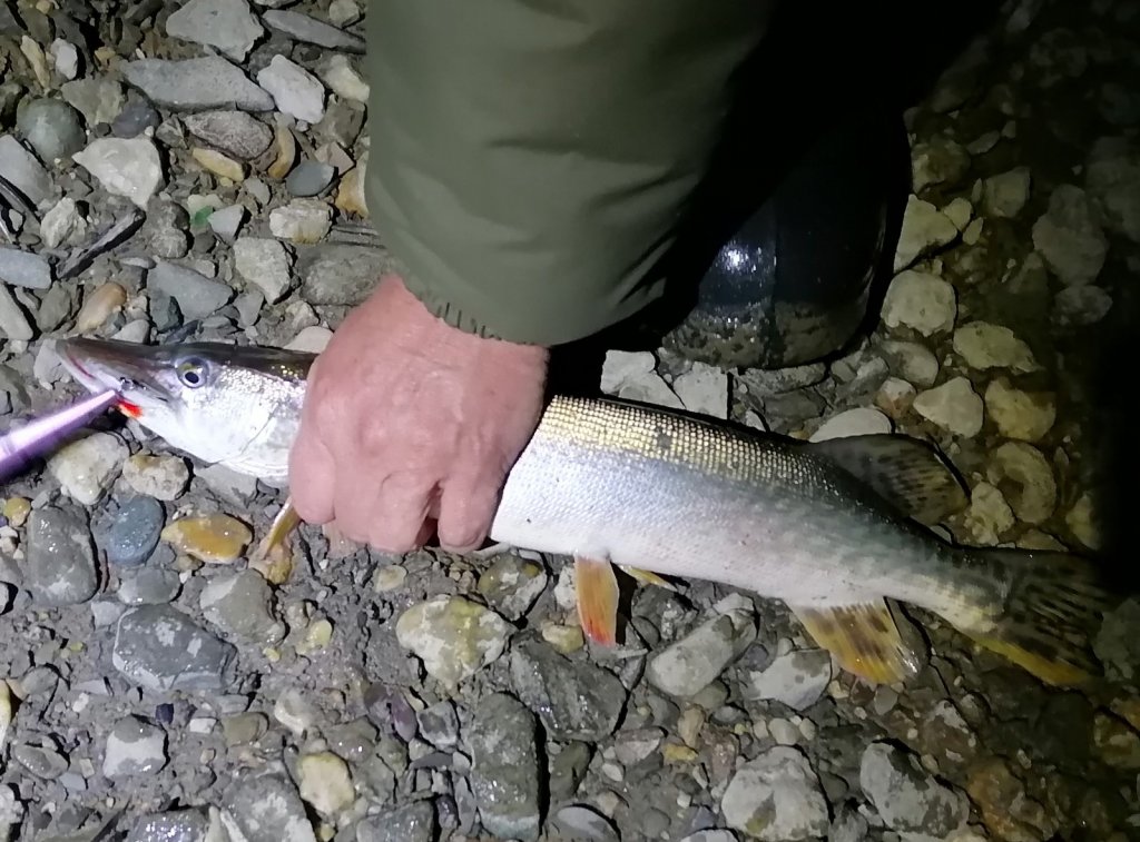 Городская рыбалка.