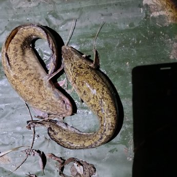 Знак "Бесконечности"!..