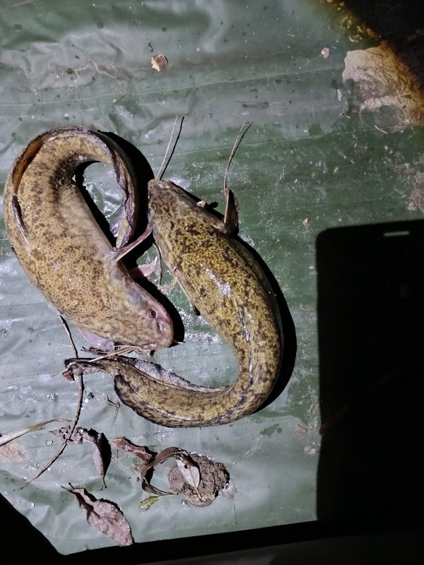 Знак "Бесконечности"!..