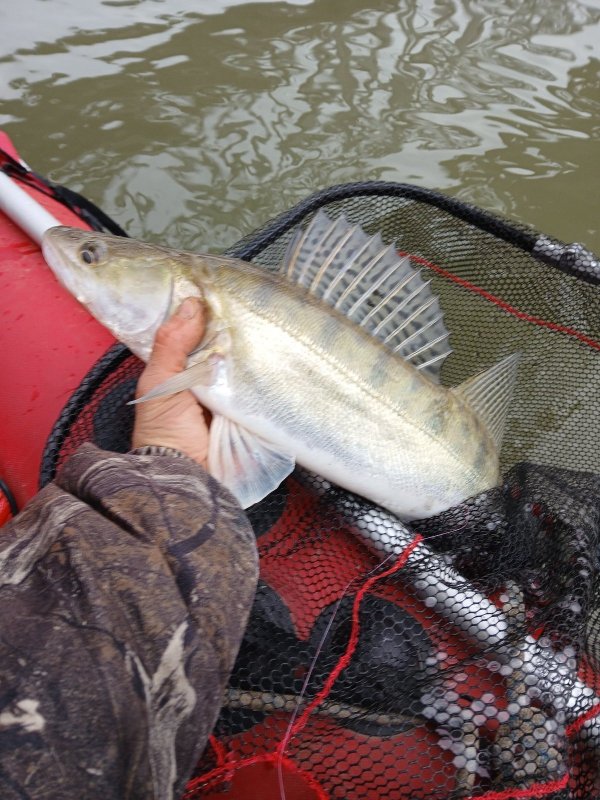 Черта города