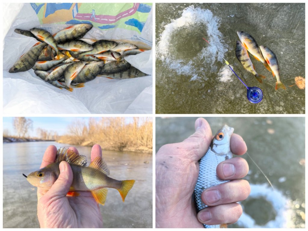 Утренний лёд.