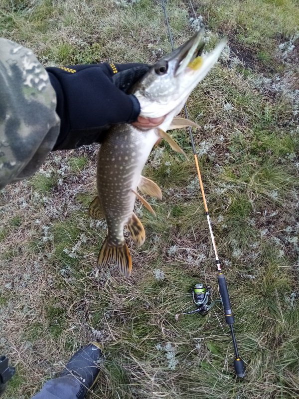 Позднеосенняя.