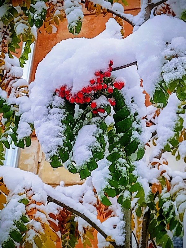 Утро в парке-1