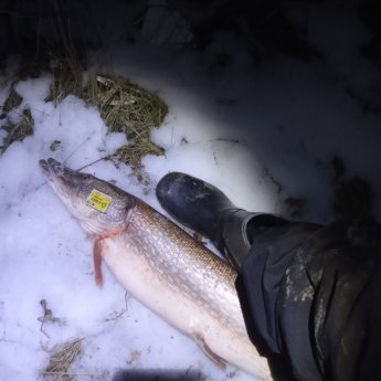 Пока клюёт.