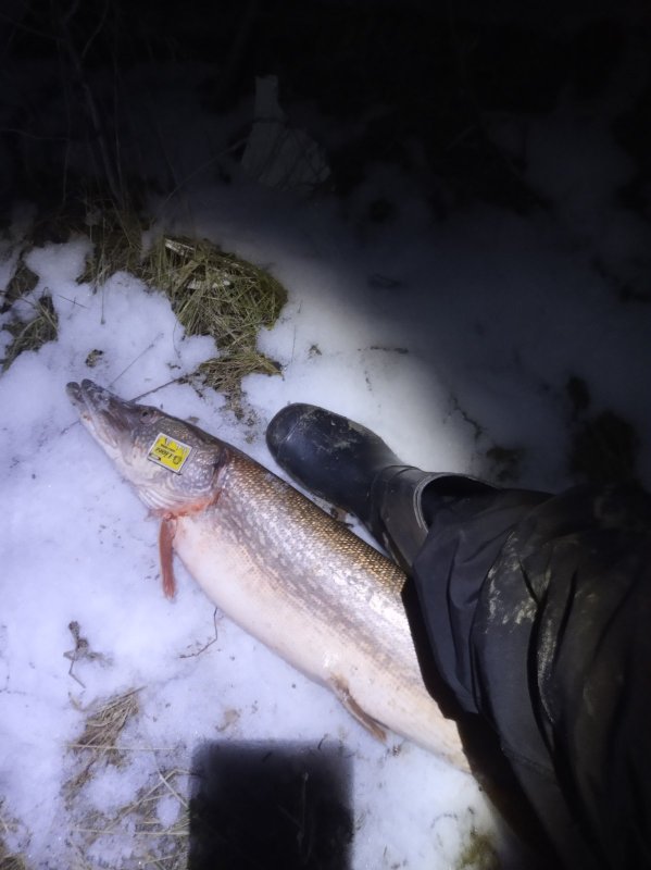 Пока клюёт.