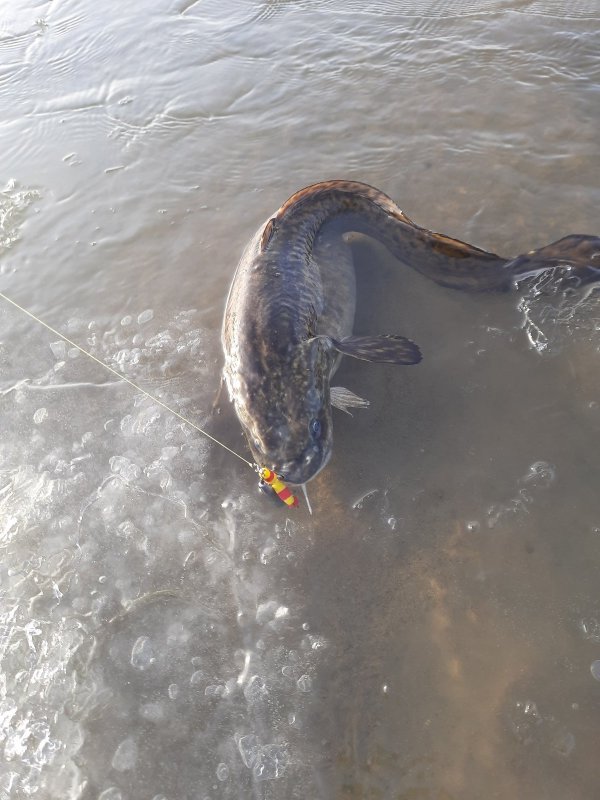 29 ноября 2023 года