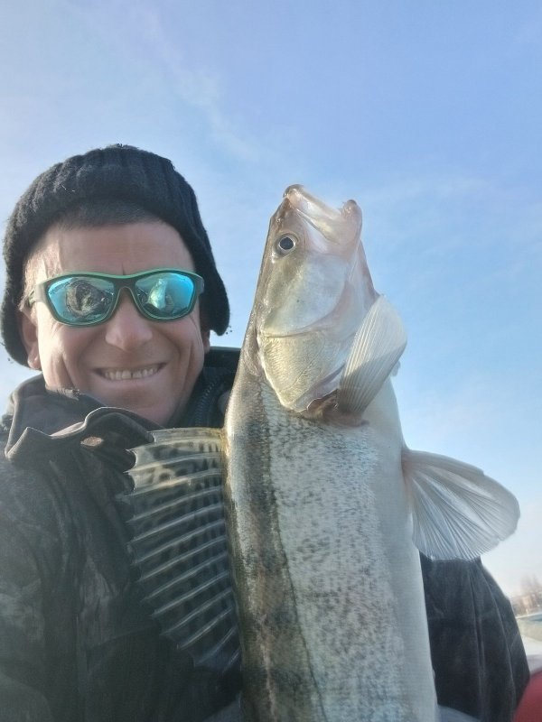 Черта города