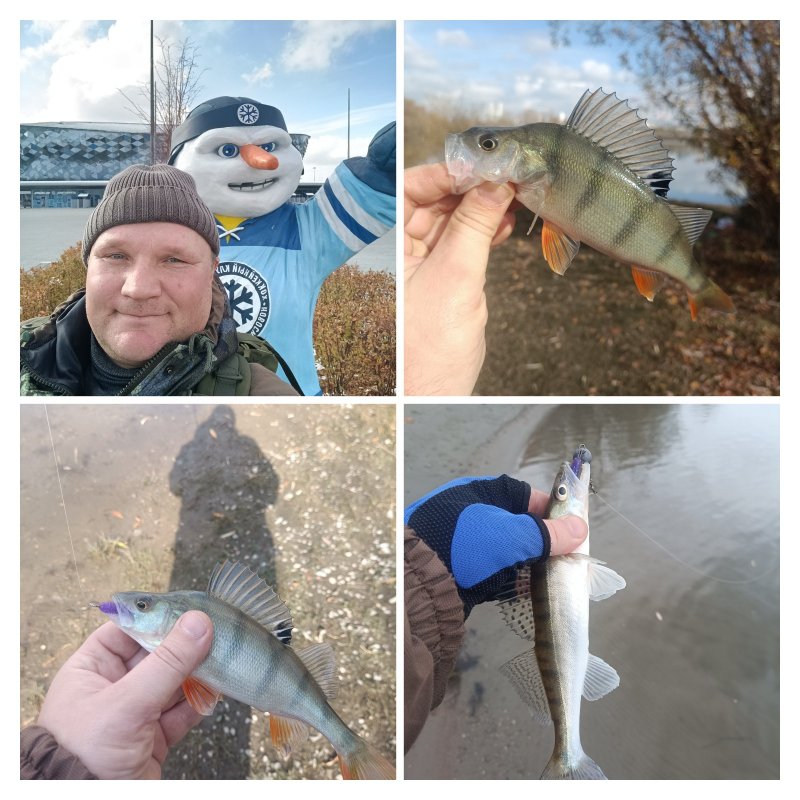 Рыбалка в близи ЛДС арены