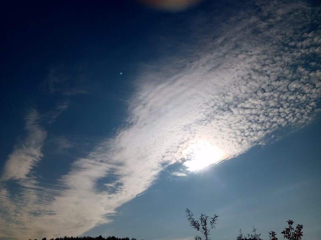 Небесный кальмар.