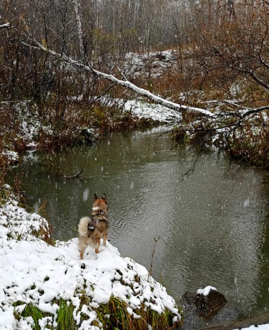 Октябрь плачет снегом. Речка Издревая.