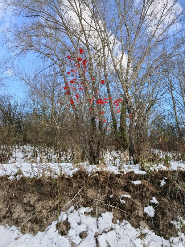 Красное & Белое на берегу...