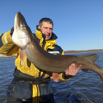 ТО 13 октября,  13 кг.