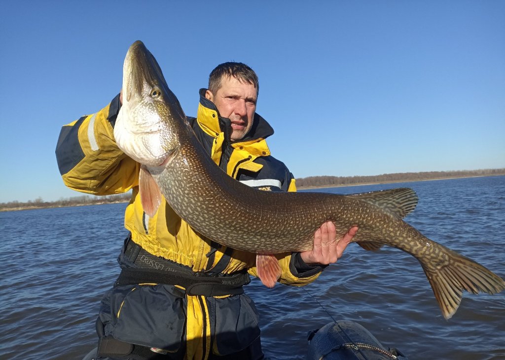 ТО 13 октября,  13 кг.