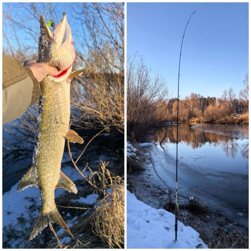 Одинокая (разведёнка, наверное...)