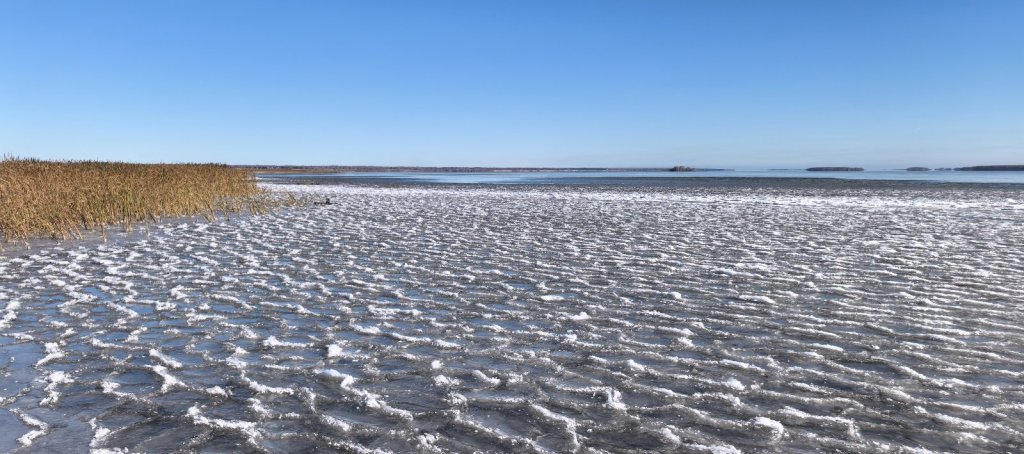 Фотозагадка!