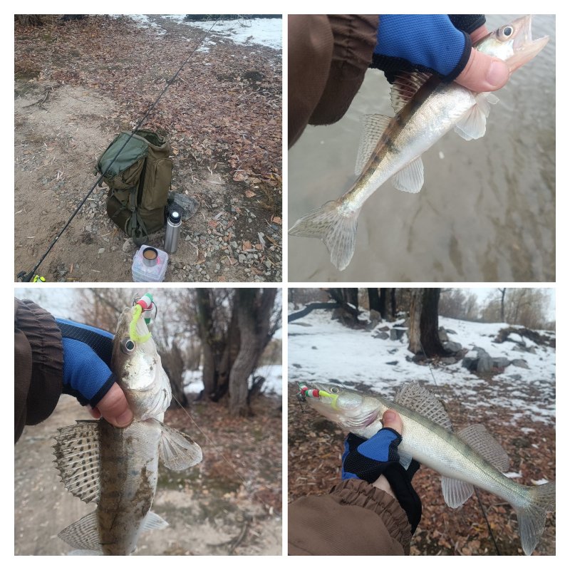 Сегодня Обь в черте города порадовала.
