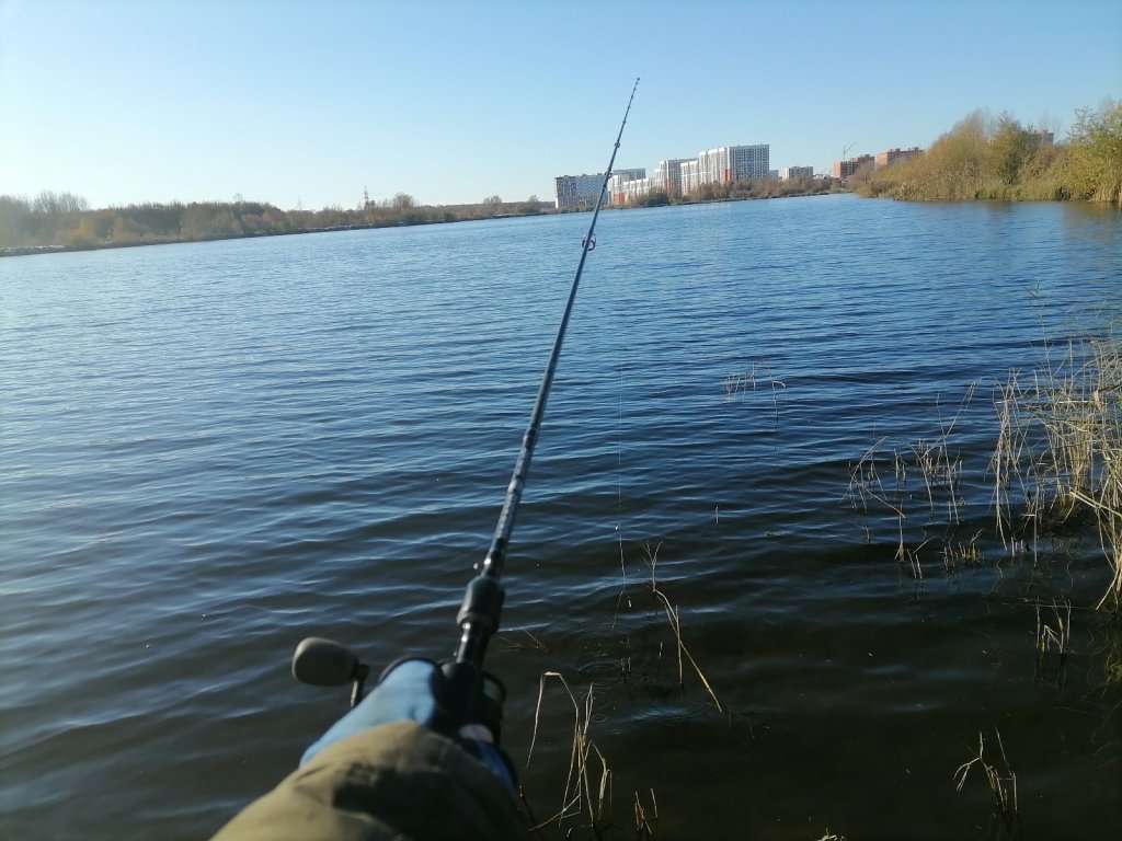 Юга. За час, ни один окунь не пострадал.