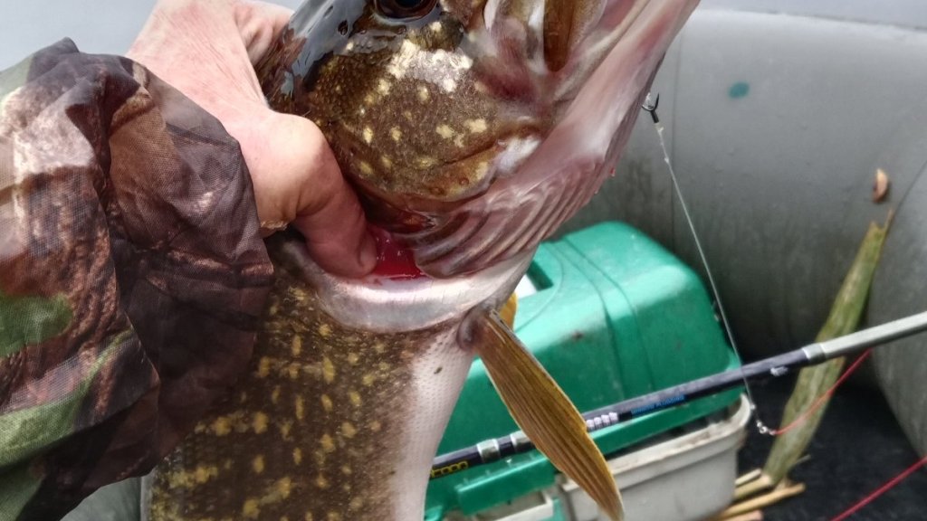 Под ручку с Психом