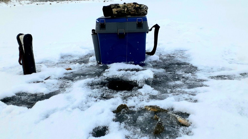 Ждёте, друзья, первый лёд??? И, как всегда почти, на ротана.