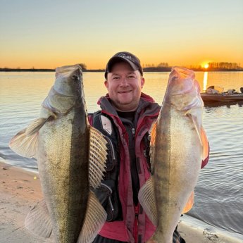 Клыкастые друзья