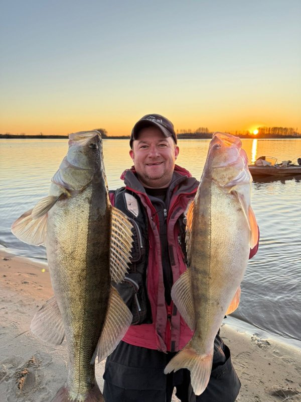 Клыкастые друзья