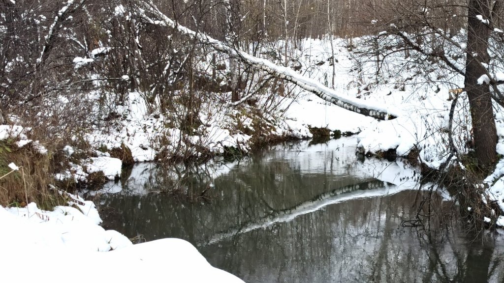 Зимний октябрь на речке "Издревая".