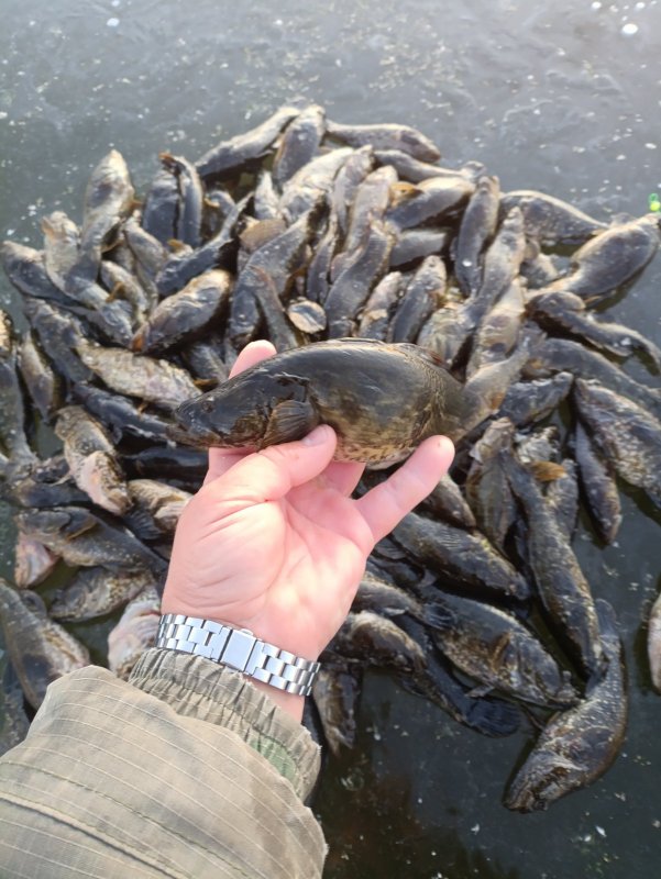 Сезон открыт!