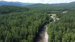 Деревянная река