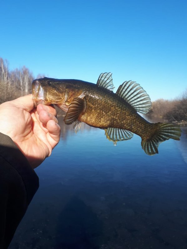 Были и не плохие.