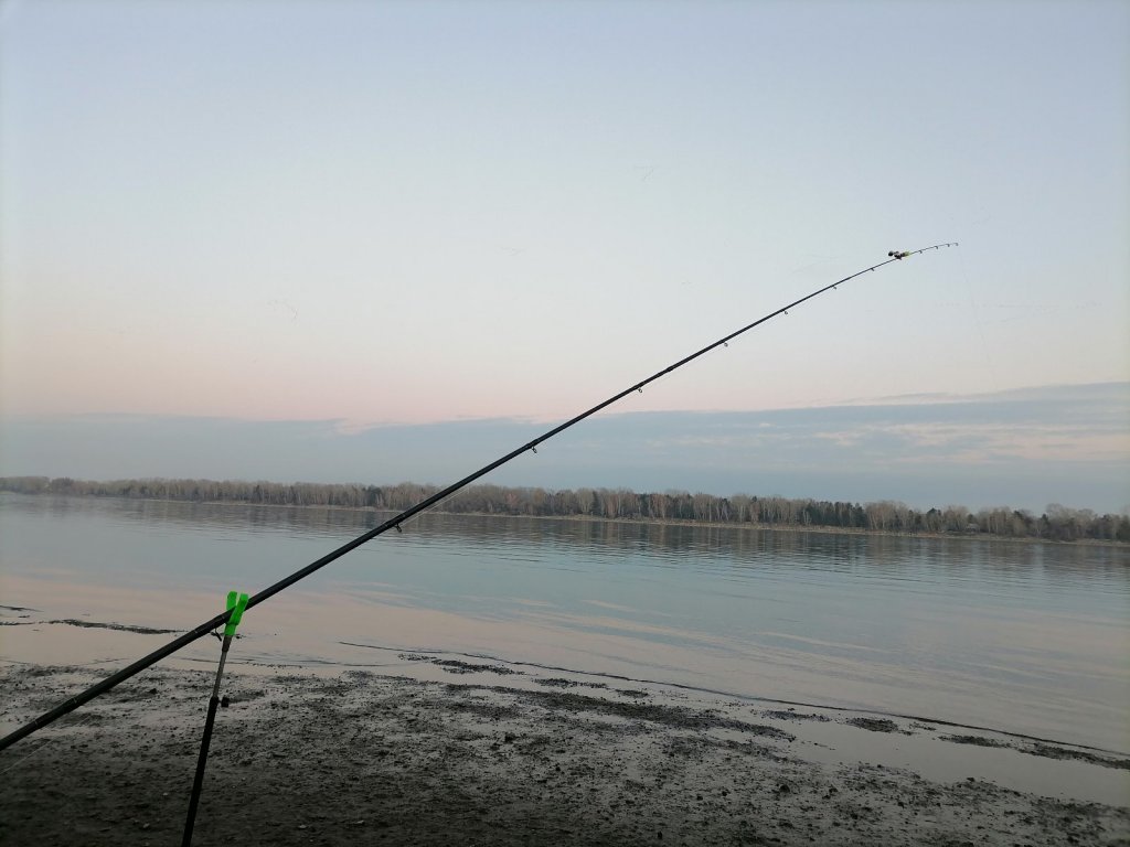 Налим, ты где?