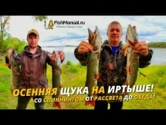 Осенняя ловля щуки на Иртыше. Рыбалка от рассвета и до обеда на спиннинг с берега