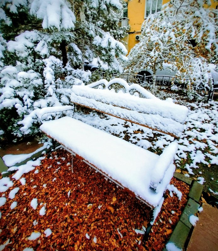 Утро во дворе-2