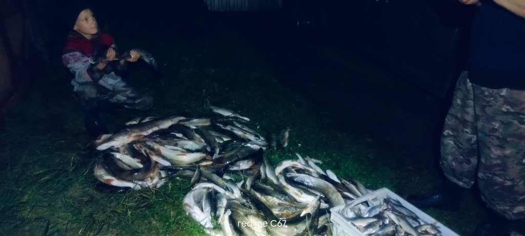 Опять клевало